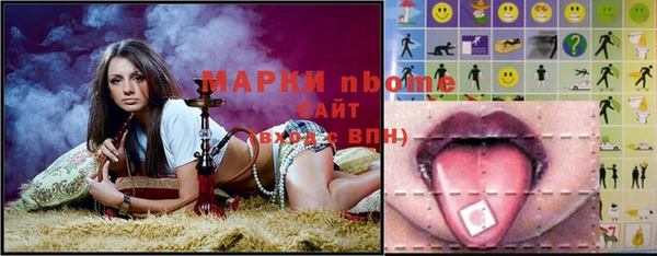 стафф Алзамай
