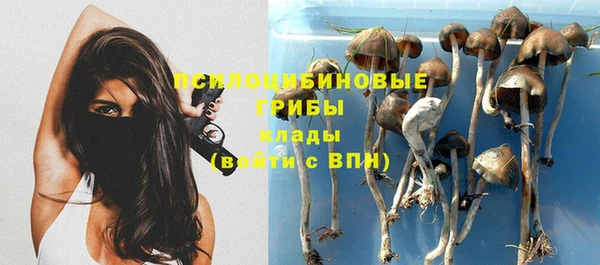 сатива Алексин